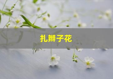 扎辫子花