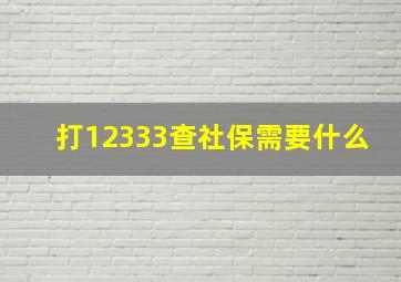 打12333查社保需要什么