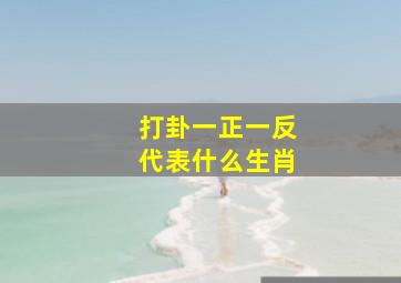 打卦一正一反代表什么生肖