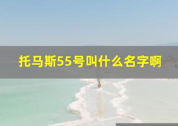 托马斯55号叫什么名字啊