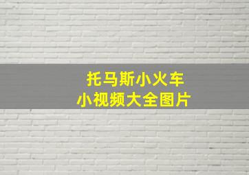 托马斯小火车小视频大全图片