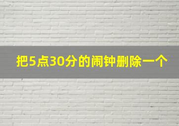 把5点30分的闹钟删除一个