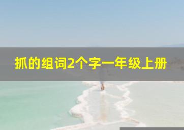 抓的组词2个字一年级上册