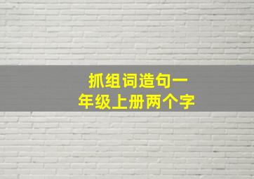 抓组词造句一年级上册两个字