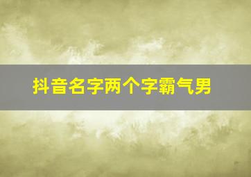 抖音名字两个字霸气男