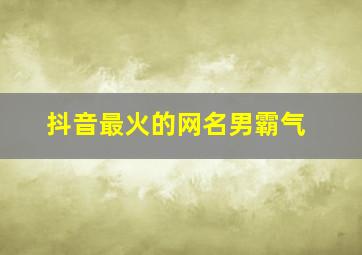 抖音最火的网名男霸气