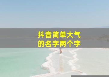 抖音简单大气的名字两个字