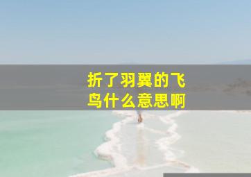 折了羽翼的飞鸟什么意思啊