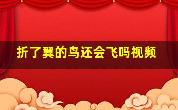 折了翼的鸟还会飞吗视频