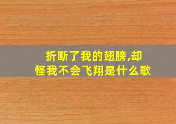 折断了我的翅膀,却怪我不会飞翔是什么歌