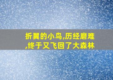 折翼的小鸟,历经磨难,终于又飞回了大森林