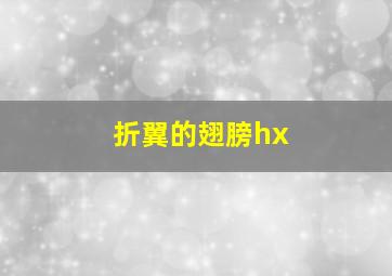 折翼的翅膀hx