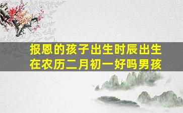 报恩的孩子出生时辰出生在农历二月初一好吗男孩