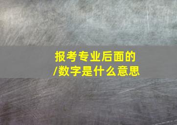 报考专业后面的/数字是什么意思