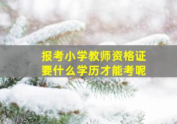 报考小学教师资格证要什么学历才能考呢