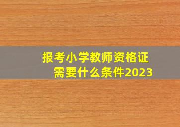 报考小学教师资格证需要什么条件2023