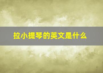 拉小提琴的英文是什么