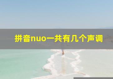 拼音nuo一共有几个声调