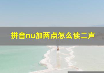 拼音nu加两点怎么读二声