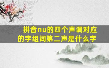 拼音nu的四个声调对应的字组词第二声是什么字