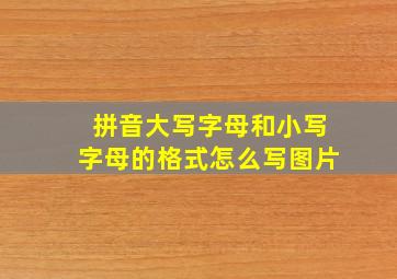 拼音大写字母和小写字母的格式怎么写图片