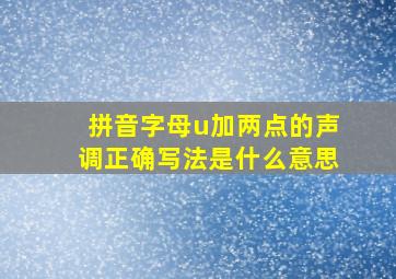 拼音字母u加两点的声调正确写法是什么意思