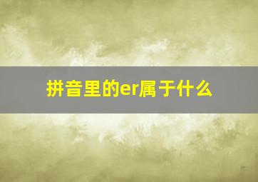 拼音里的er属于什么