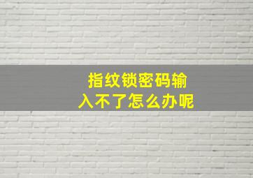 指纹锁密码输入不了怎么办呢