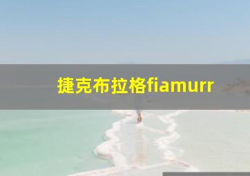 捷克布拉格fiamurr