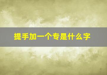 提手加一个专是什么字