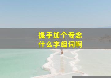 提手加个专念什么字组词啊