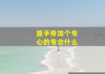 提手旁加个专心的专念什么