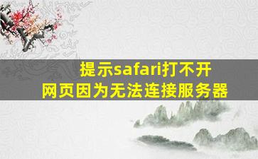 提示safari打不开网页因为无法连接服务器