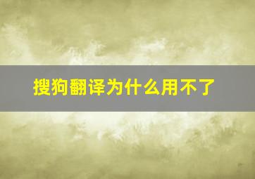 搜狗翻译为什么用不了