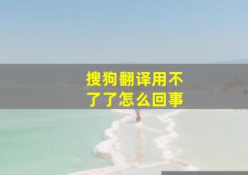 搜狗翻译用不了了怎么回事