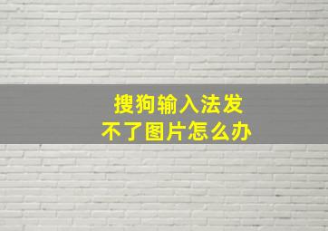 搜狗输入法发不了图片怎么办