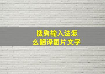 搜狗输入法怎么翻译图片文字