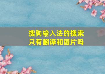 搜狗输入法的搜索只有翻译和图片吗