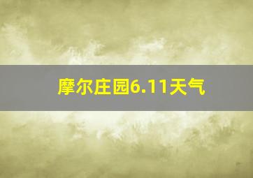 摩尔庄园6.11天气