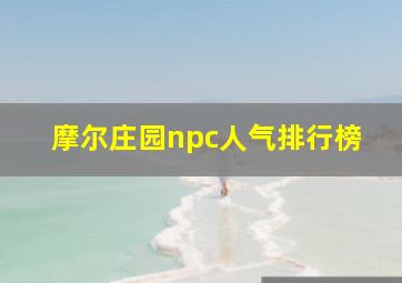 摩尔庄园npc人气排行榜