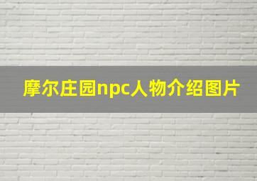 摩尔庄园npc人物介绍图片