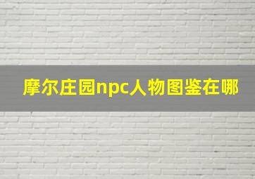 摩尔庄园npc人物图鉴在哪