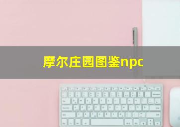 摩尔庄园图鉴npc