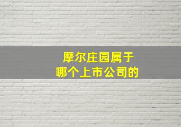 摩尔庄园属于哪个上市公司的