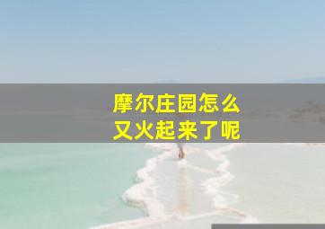 摩尔庄园怎么又火起来了呢