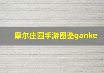 摩尔庄园手游图鉴ganke