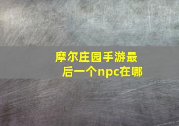 摩尔庄园手游最后一个npc在哪