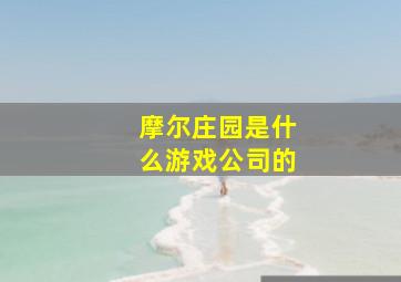 摩尔庄园是什么游戏公司的