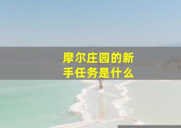 摩尔庄园的新手任务是什么