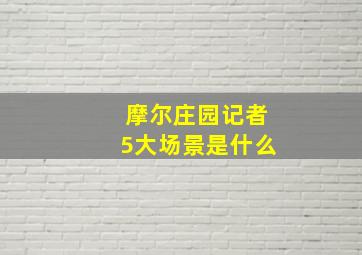 摩尔庄园记者5大场景是什么